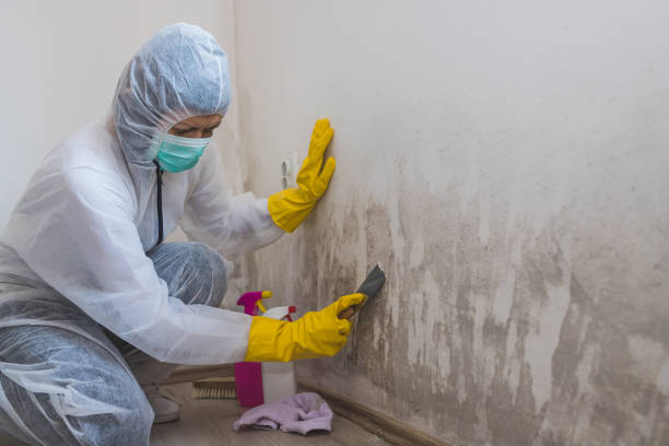 Best Crawl Space Mold Removal  in Brownsboro, TX