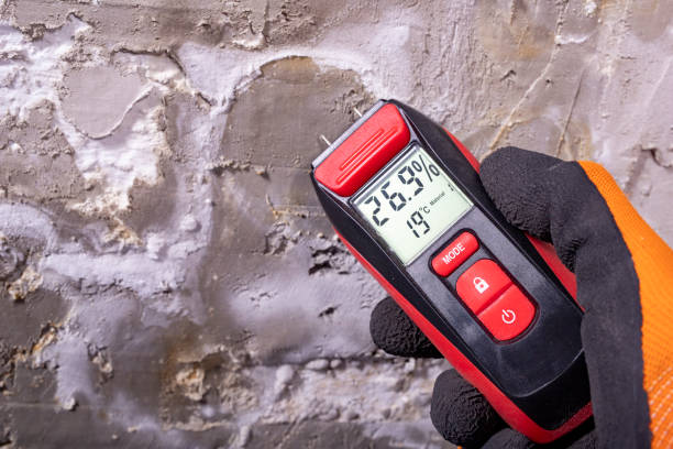 Best Commercial Mold Removal  in Brownsboro, TX