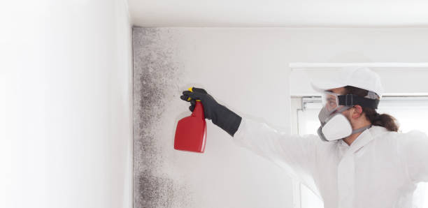 Best Mold Remediation  in Brownsboro, TX