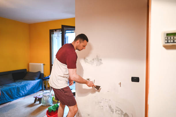 Reliable Brownsboro, TX Mold Removal Solutions
